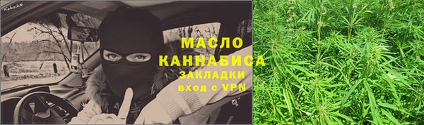 гидра Михайловка