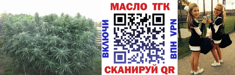 Купить закладки  Карталы  ТГК THC oil 