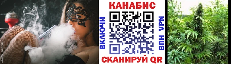 Купить  Карталы  Канабис OG Kush 